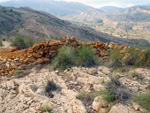 Grupo Mineralógico de Alicante. LAS MINAS DE OCRE DE MUCHAMIEL Y SAN VICENTE  