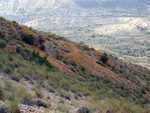 Grupo Mineralógico de Alicante. LAS MINAS DE OCRE DE MUCHAMIEL Y SAN VICENTE   