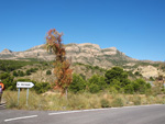 Grupo Mineralógico de Alicante. Alrededores del Rincón Bello en Agost. Alicante   