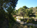 Grupo Mineralógico de Alicante. Alrededores del Rincón Bello en Agost. Alicante   