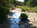 Grupo Mineralógico de Alicante.Alrededores del Rincón Bello en Agost. Alicante  