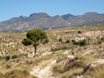 Grupo Mineralógico de Alicante. Terrers dels Pobres, Lomas de la Beata.  Agost. Alicante   