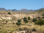 Grupo Mineralógico de Alicante. Terrers dels Pobres, Lomas de la Beata.  Agost. Alicante   