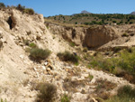 Grupo Mineralógico de Alicante. Terrers dels Pobres, Lomas de la Beata.  Agost. Alicante   