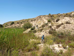 Grupo Mineralógico de Alicante. Terrers dels Pobres, Lomas de la Beata.  Agost. Alicante   