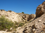 Grupo Mineralógico de Alicante. Terrers dels Pobres, Lomas de la Beata.  Agost. Alicante   