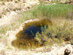 Grupo Mineralógico de Alicante. Terrers dels Pobres, Lomas de la Beata.  Agost. Alicante   