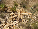 Grupo Mineralógico de Alicante. Terrers dels Pobres, Lomas de la Beata.  Agost. Alicante   