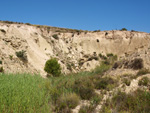 Grupo Mineralógico de Alicante. Terrers dels Pobres, Lomas de la Beata.  Agost. Alicante   