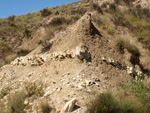 Grupo Mineralógico de Alicante. Terrers dels Pobres, Lomas de la Beata.  Agost. Alicante   