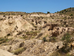 Grupo Mineralógico de Alicante. Terrers dels Pobres, Lomas de la Beata.  Agost. Alicante   