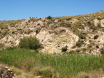 Grupo Mineralógico de Alicante.Terrers dels Pobres, Lomas de la Beata.  Agost. Alicante  