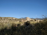 Grupo Mineralógico de Alicante.Terrers dels Pobres, Lomas de la Beata.  Agost. Alicante  