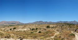 Grupo Mineralógico de Alicante. Terrers dels Pobres, Lomas de la Beata.  Agost. Alicante   