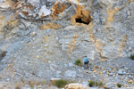 Grupo Mineralógico de Alicante. Cantera Casablanca. Lloma Alta, Les Boqueres, San Vicente del Raspeig, Alicante  