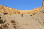 Grupo Mineralógico de Alicante. Cantera Casablanca. Lloma Alta, Les Boqueres, San Vicente del Raspeig, Alicante  