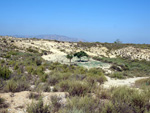 Grupo Mineralógico de Alicante. Cabezo Negro. Zeneta. Murcia  