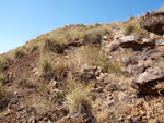 Grupo Mineralógico de Alicante. Cabezo de San Juan. minas Rómulo y Pajaritos.
 La Unión. Murcia   