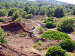 Grupo Mineralógico de Alicante.Cabezo de San Juan. minas Rómulo y Pajaritos.
 La Unión. Murcia   