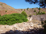 Grupo Mineralógico de Alicante.Cabezo de San Juan. minas Rómulo y Pajaritos.
 La Unión. Murcia  