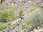 Grupo Mineralógico de Alicante. Explotación de Ofitas en la Sierra de Olta. Calpe. Alicante   