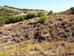 Grupo Mineralógico de Alicante. Afloramiento de Aragonitos. Casas de Ves. Albacete   