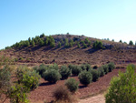 Grupo Mineralógico de Alicante. Afloramiento de Aragonitos. Casas de Ves. Albacete   