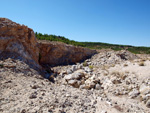 Grupo Mineralógico de Alicante.Afloramiento de Aragonitos. Casas de Ves. Albacete   