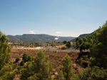 Grupo Mineralógico de Alicante.Cofrentes. Valencia   