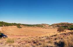 Grupo Mineralógico de Alicante. Afloramiento de Aragonitos. Casas de Ves. Albacete   