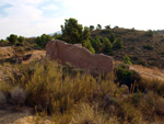 Grupo Mineralógico de Alicante. Mina San Francisco. Tibi. Alicante  