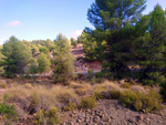 Grupo Mineralógico de Alicante. La Javalina. Cehegín. Murcia  