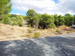 Grupo Mineralógico de Alicante. La Javalina. Cehegín. Murcia  