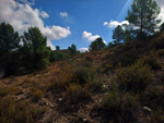 Grupo Mineralógico de Alicante. La Javalina. Cehegín. Murcia  