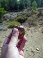 Grupo Mineralógico de Alicante. La Javalina. Cehegín. Murcia  