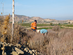 Grupo Mineralógico de Alicante. Cabezo Negro. Zeneta. Murcia  