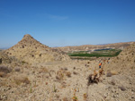 Grupo Mineralógico de Alicante.Cabezo Negro. Zeneta. Murcia  