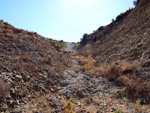 Grupo Mineralógico de Alicante.Cabezo Negro. Zeneta. Murcia  