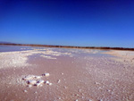 Grupo Mineralógico de Alicante. Salinas de Torrevieja. Alicante  