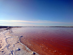 Grupo Mineralógico de Alicante. Salinas de Torrevieja. Alicante  