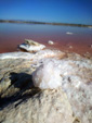 Grupo Mineralógico de Alicante. Salinas de Torrevieja. Alicante  