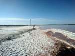 Grupo Mineralógico de Alicante. Salinas de Torrevieja. Alicante  