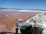 Grupo Mineralógico de Alicante. Salinas de Torrevieja. Alicante  