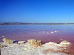 Grupo Mineralógico de Alicante. Salinas de Torrevieja. Alicante  