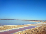 Grupo Mineralógico de Alicante. Salinas de Torrevieja. Alicante  