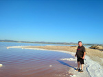 Grupo Mineralógico de Alicante. Salinas de Torrevieja. Alicante  