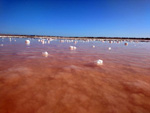 Grupo Mineralógico de Alicante. Salinas de Torrevieja. Alicante  