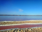 Grupo Mineralógico de Alicante. Salinas de Torrevieja. Alicante  