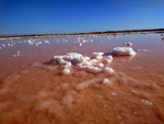 Grupo Mineralógico de Alicante. Salinas de Torrevieja. Alicante  