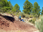 Grupo Mineralógico de Alicante. La Escarabehuela. Enguidanos. Cuenca  